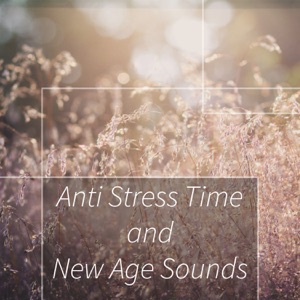 Anti Stress Time and New Age Sounds: Relax with Natural Noise and Fall Into Sleep, Meditation & Yoga During Music Therapy