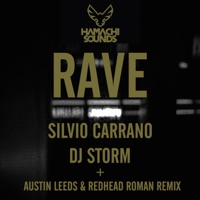 Metro - Single - Silvio Carrano & DJ Storm