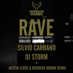 Metro - Single - DJ Storm Metro - Single - DJ Storm