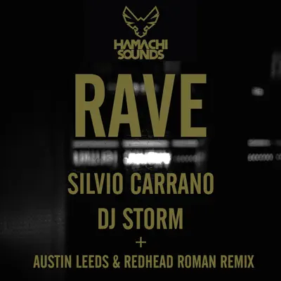 Metro - Single - DJ Storm