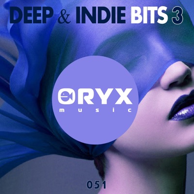 Deep & Indie Bits, Vol. 3