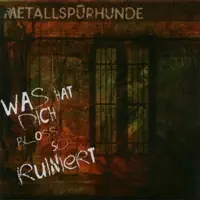 Was hat Dich bloss so ruiniert? — Metallspürhunde