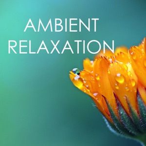 Ambient Relaxation - Nature Sounds and Music, Biosphere & Spa Songs Collection