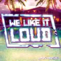 Get Lucky (Basslouder Remix Edit)