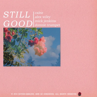 Still Good (feat. Alex Wiley, Mick Jenkins & Donnie Trumpet) - Single