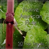 Native American Flute – 50 Top Tracks: Calming Nature Sounds with Flute for Relaxation & Meditation, Chinese Instruments for Massage & Yoga, Deep Sleep & Spa Day