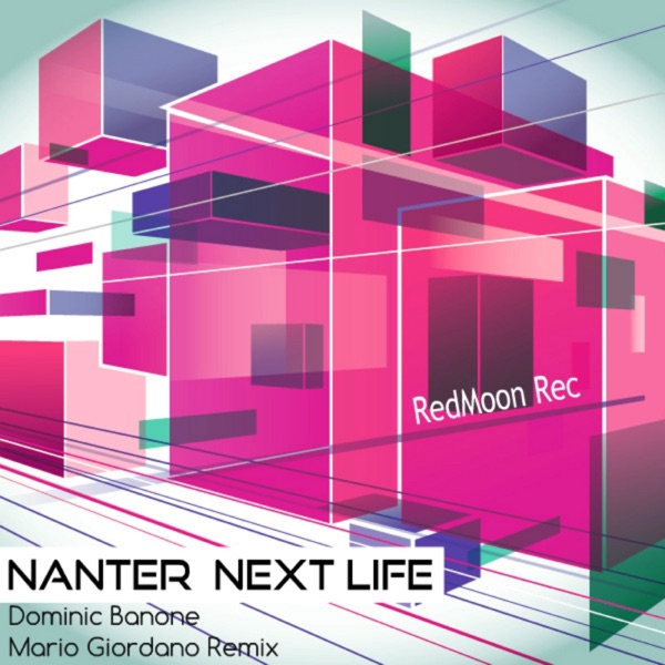 Next Life - Single