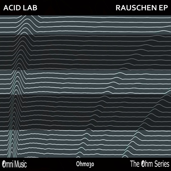 The Ohm Series: Rauschen - EP