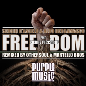 Freedom (feat. Pierre Piccarde) - Single