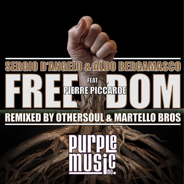 Freedom (feat. Pierre Piccarde) - Single