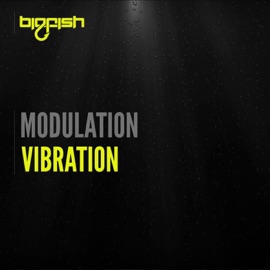 Vibration Modulation