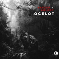 Ocelot - Single - Haezer & AGLORY