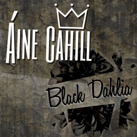 Black Dahlia Áine