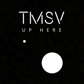 Bright Sky (feat. Van Dam) TMSV