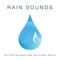 Asian Zen Spa Music Meditation - Nature Sounds Nature Music lyrics