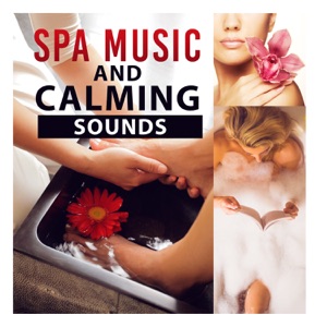 Spa Music and Calming Sounds: Chakra Balancing, Deep Sleep, Zen Garden, Yoga Time, Nature Sounds, Relaxation, New Age, Yin Yang, Massage