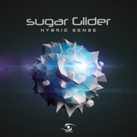 Hybrid Sense - Single - Sugar Glider