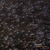 Los Días — Ciruelo