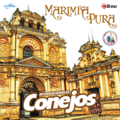 Marimba Pura. Música de Guatemala para los Latinos - Internacionales Conejos