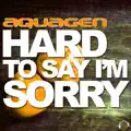 Hard to Say Im Sorry (DJ Gollum Feat. DJ Cap Remix)