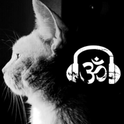 I Am the Light - Zen That Beat