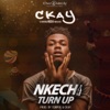 Nkechi Turn Up - Single