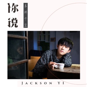 你說 - Single