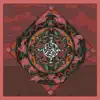 Cosmic Fields - Albatrosses Fly the West