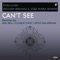 Can't See - Thallulah, William Medagli & Jose Maria Ramon lyrics