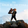 Angel by the Wings - Single, 2016