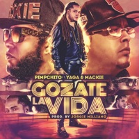 Gozate la Vida (feat. Yaga & Mackie) - Single - Pimpchito