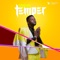 Temper - Skales lyrics