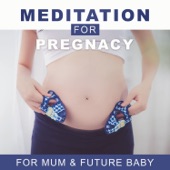 Meditation for Pregnacy: Calming Music for Mum & Future Baby, Newborn Deep Sleep, Calm & Relax, Yoga artwork