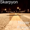 Never Forget - Single