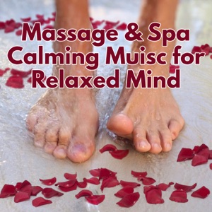 Massage & Spa Calming Muisc for Relaxed Mind: Zen Garden, Meditation, New Age, Deep Sleep, Yoga Time, Mantra, Nature Sounds, Chakra Balancing