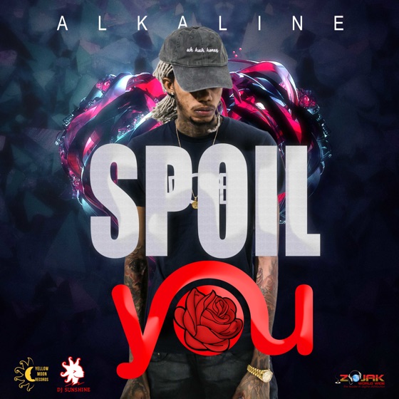 Cover artwork for Spoil You