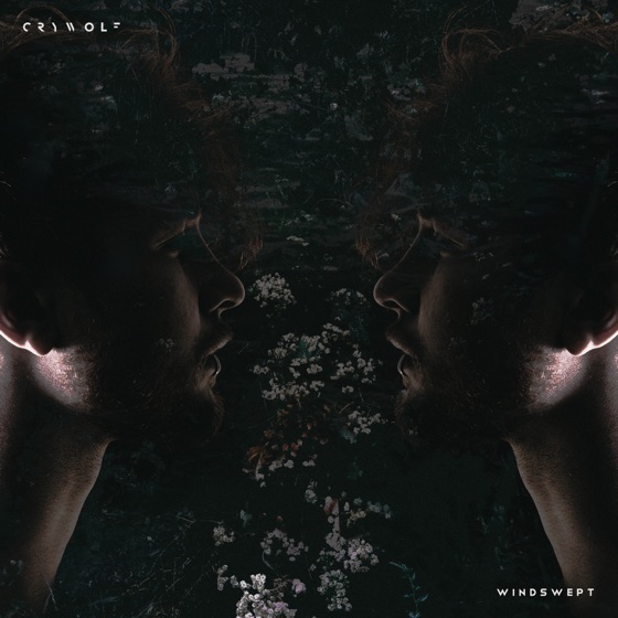 Cover artwork for Windswept
