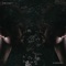Windswept - Crywolf lyrics