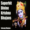 Superhit Divine Krishna Bhajans (Satsang Bhajans)