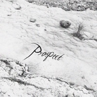 Prospect - aedfx