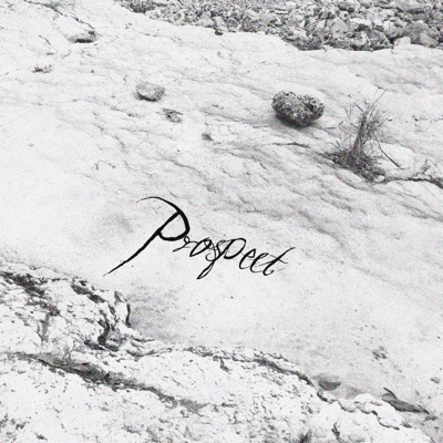 Prospect
