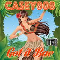 Got It Bae - Single - Casey808