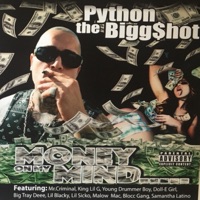 Money on My Mind - Python The BiggShot