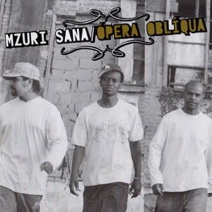 Rap de Raiz