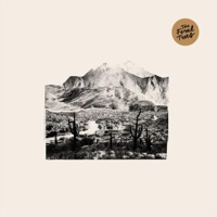 The Feral Trees - Somehow