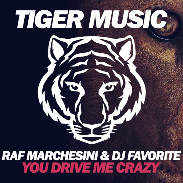 You Drive Me Crazy - Single