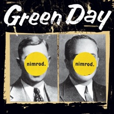 Time Of Your Life (Good Riddance) artwork