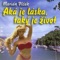 Každý rád si zaspomína - Marian Vlcák lyrics