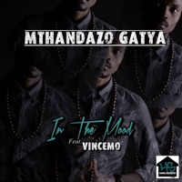 In the Mood (feat. Vincemo) - Single - Mthandazo Gatya