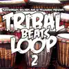 Stream & download Tribal Beats Loop 2 - Single